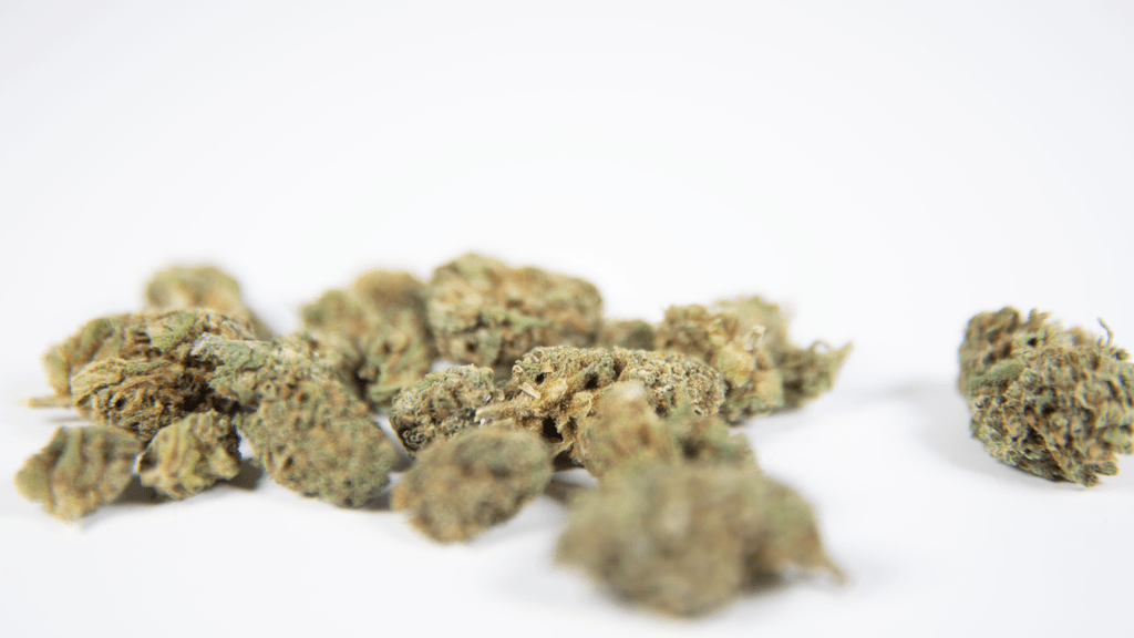 Comparing U.S. and Caribbean Cannabis Culture